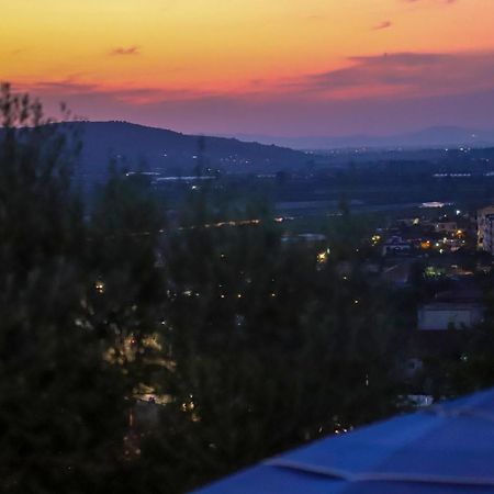 ベラト Bujtina Mustaゲストハウス エクステリア 写真